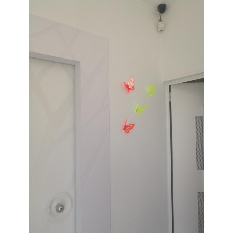 Papillons fluo